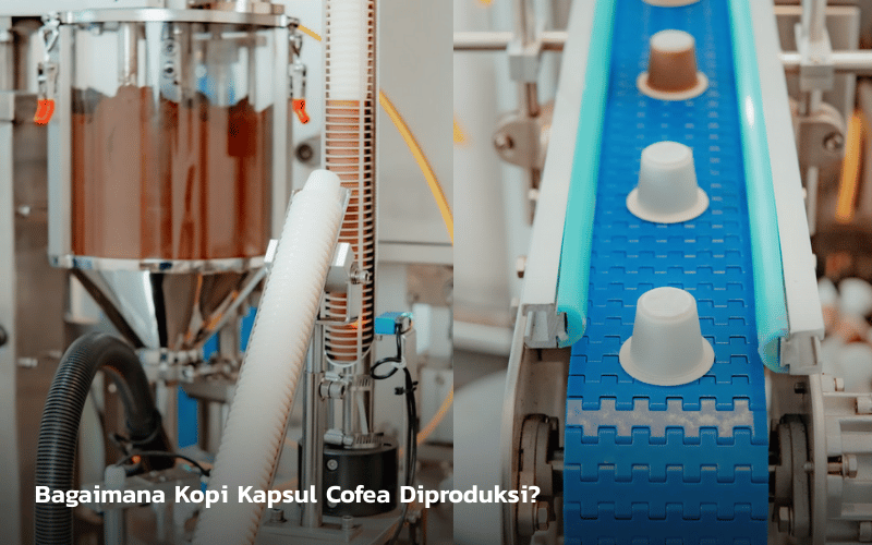 Produksi Kapsul Kopi Cofea - Indonesia