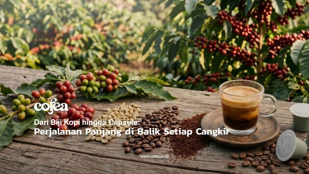 Cofea - Dari Biji Kopi hingga Capsule